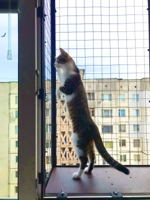 Вольер на окно ПХВ