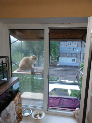 Вольер для кота. На окно.