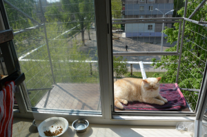Вольер для кота. На окно.
