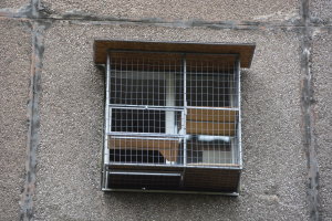 Вольер для кота. На окно.