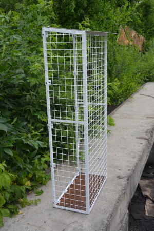 Вольер для кошек - белый.