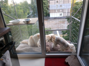 Вольер на окно