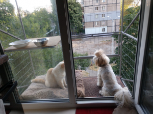 Вольер на окно