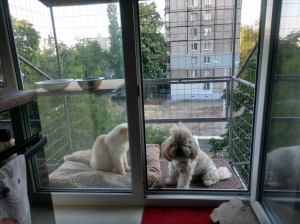 Вольер на окно