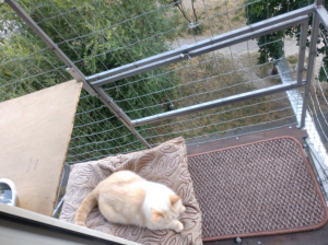 Вольер на окно