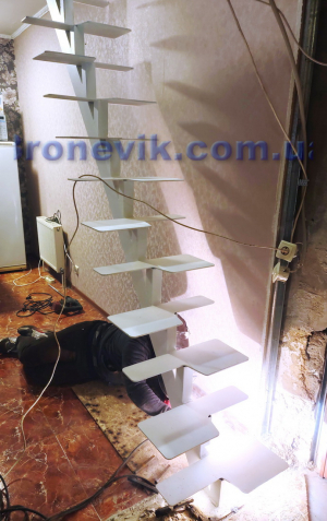 Лестница на одном косоуре