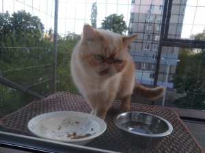 Вольер на окно