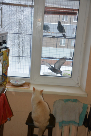 Вольер на окно