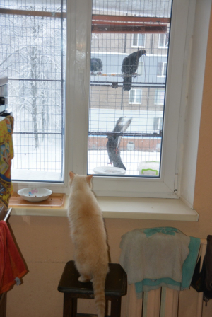 Вольер на окно