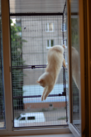 Вольер на окно