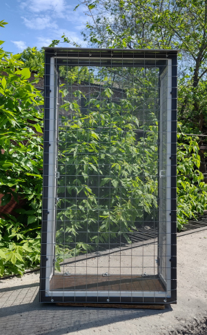 Вольер со съемными противомоскитными сетками.