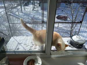 Вольер на окно