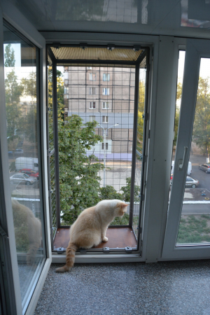 Вольер на окно ПХВ