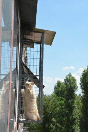 Вольер на окно ПХВ