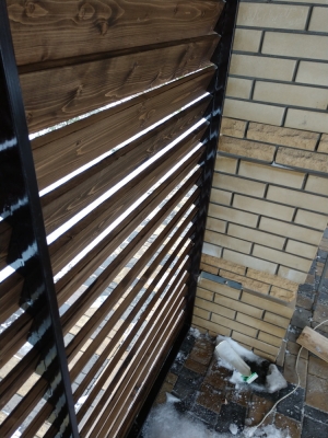 Забор жалюзи дерево