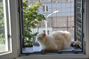 Вольер на окно ПХВ