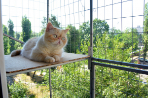 Вольер на окно