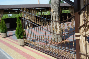 Забор с полимерной ковкой