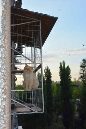 Вольер для кота. На окно.