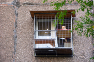 Вольер для кота. На окно.