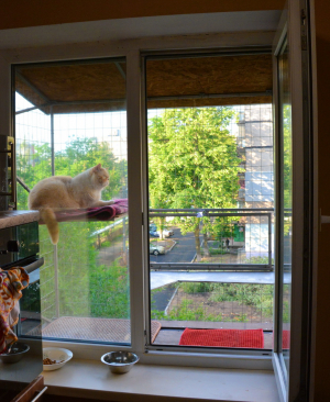 Вольер для кота. На окно.