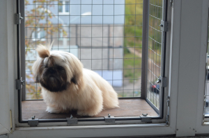 Вольер на окно ПХВ