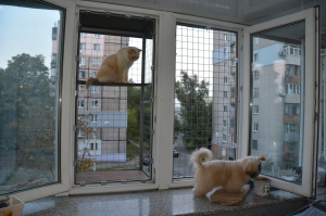 Вольер на окно ПХВ