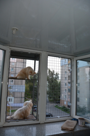 Вольер на окно ПХВ