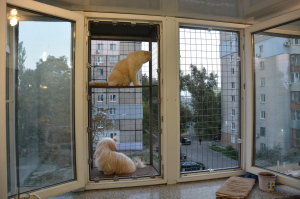 Вольер на окно ПХВ