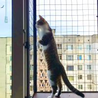 Вольер на окно ПХВ