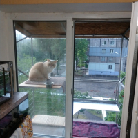 Вольер для кота. На окно.