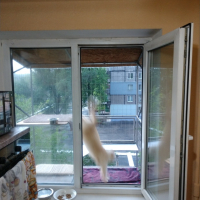 Вольер для кота. На окно.