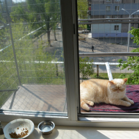Вольер для кота. На окно.