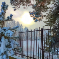 Забор решетчатый, простой