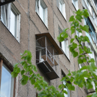 Вольер для кота. На окно.