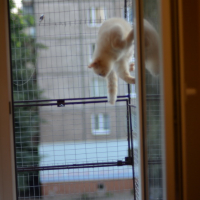 Вольер на окно