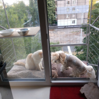 Вольер на окно