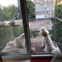 Вольер на окно