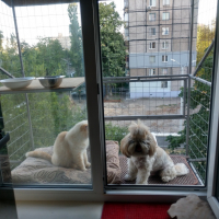 Вольер на окно