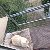 Вольер на окно