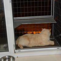 Вольер на окно