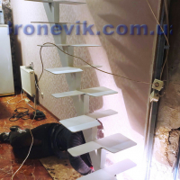 Лестница на одном косоуре