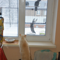 Вольер на окно