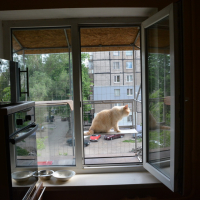 Вольер для кота. На окно.