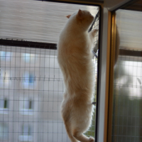 Вольер на окно