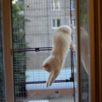 Вольер на окно