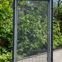 Вольер со съемными противомоскитными сетками.