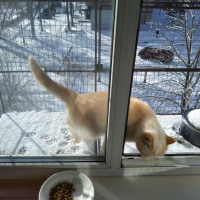 Вольер на окно