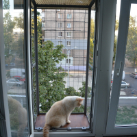 Вольер на окно ПХВ