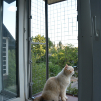 Вольер на окно ПХВ